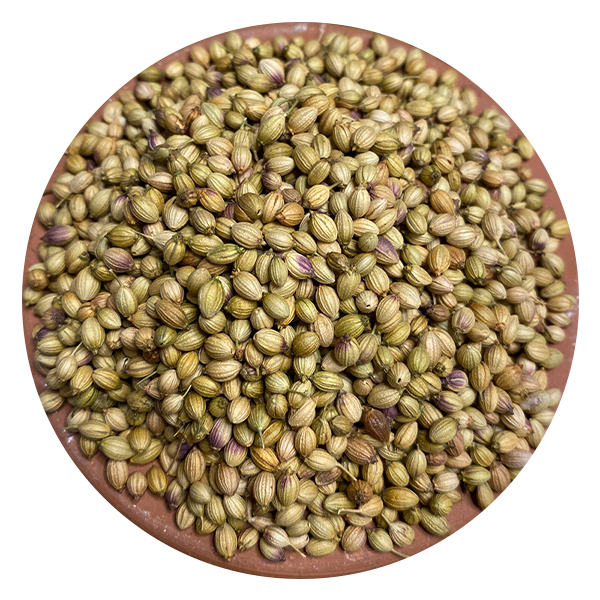 Namaste Export